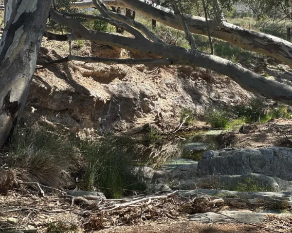 flinders ranges picture