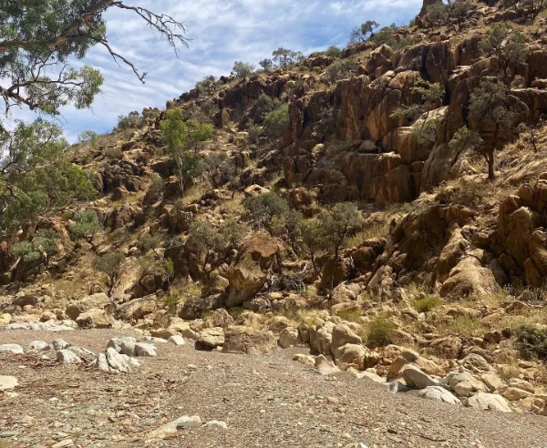 flinders ranges picture