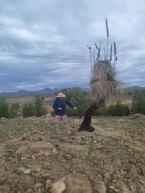 guide with grass tree